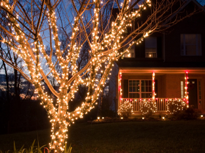 Light wrapped tree at Twilight this image shows fence line Christmas lights installation in Roseville, CA