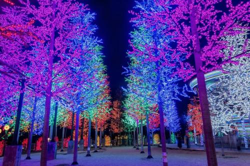 tree-Christmas-lights-Roseville-CA this image shows tree Christmas lights in Roseville, CA