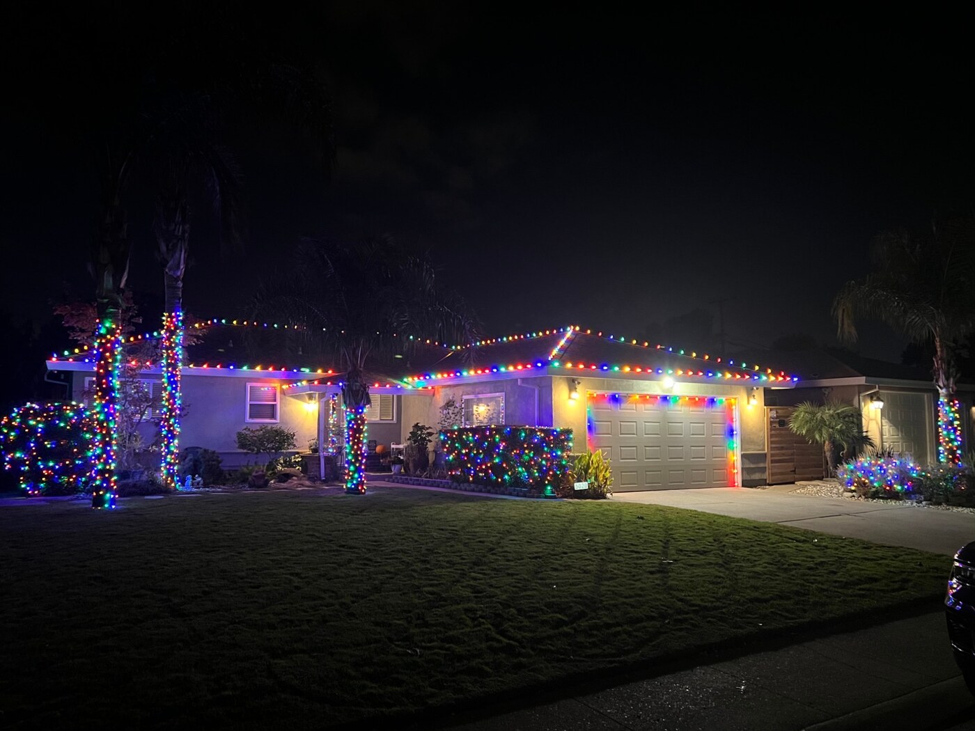 Holiday light installation in Fair Oaks, CA: palms multicolor